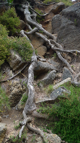 exploring South Africa's Garden Route