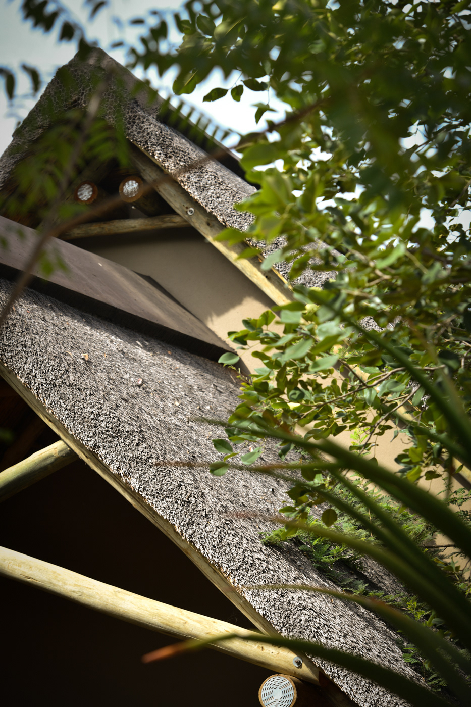 A.M 5 star lodge images