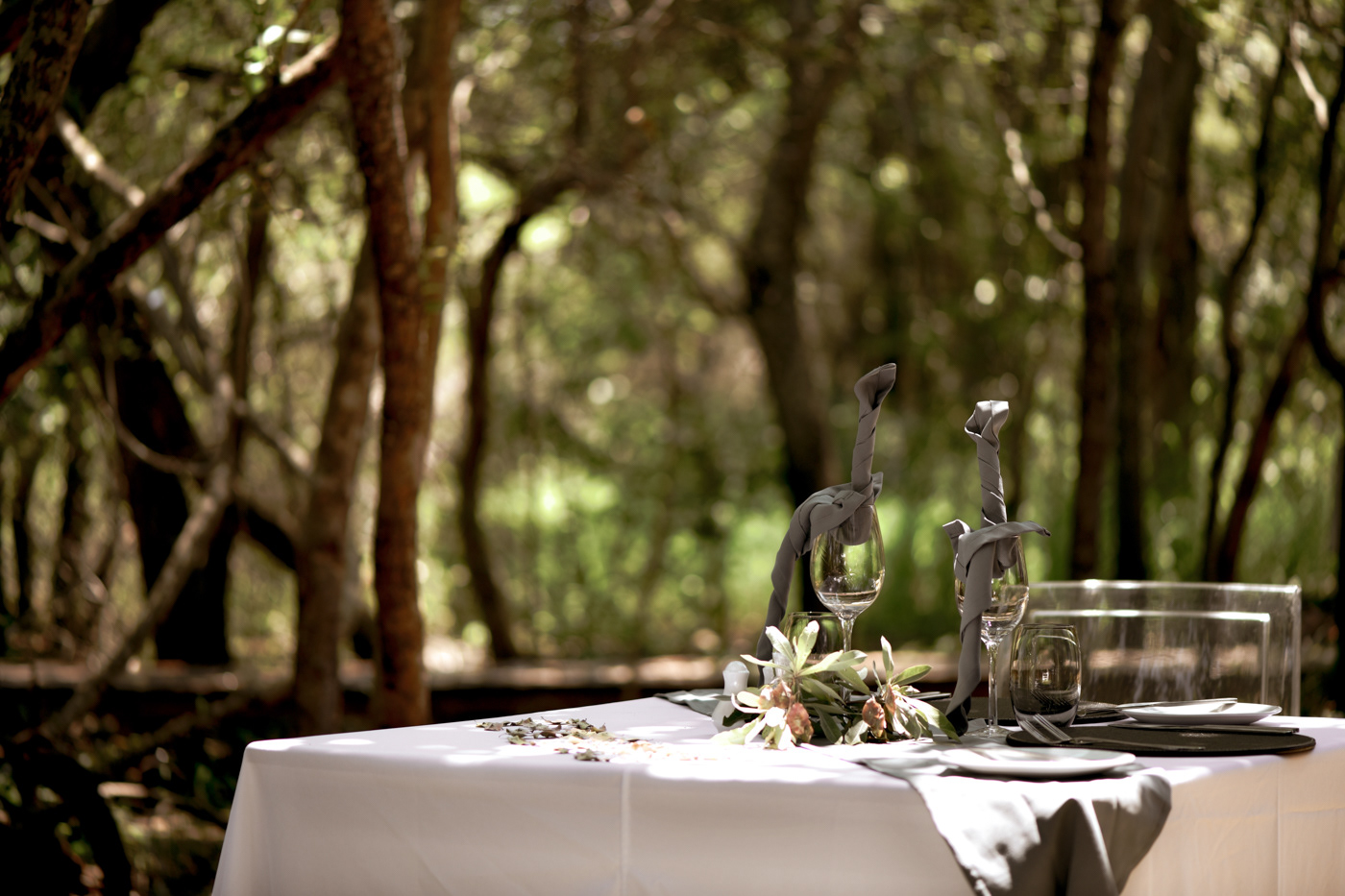 Ignus Gerber - A.M. 5 Star Lodge