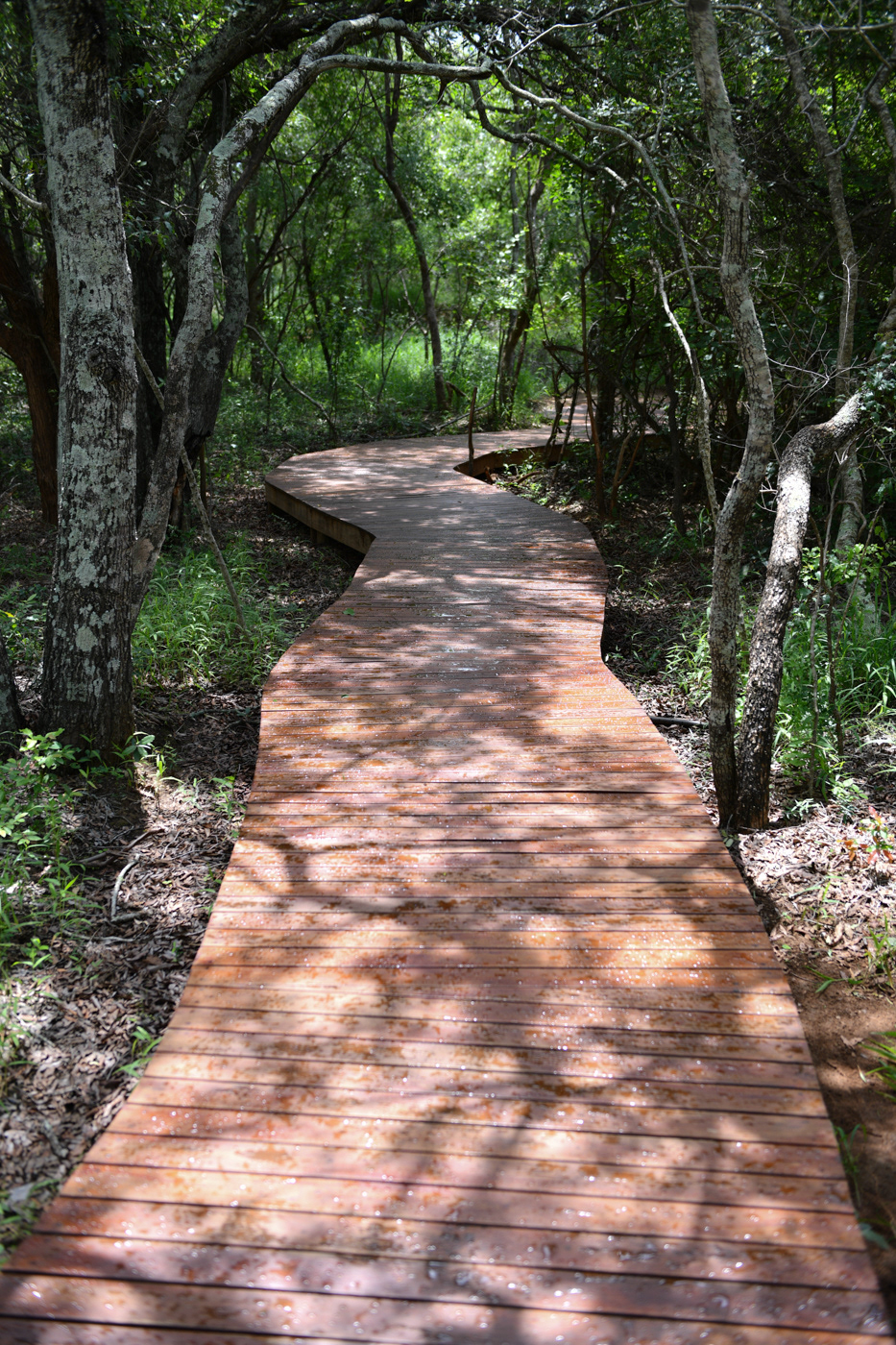 AM Lodge, Hoedspruit, South Africa