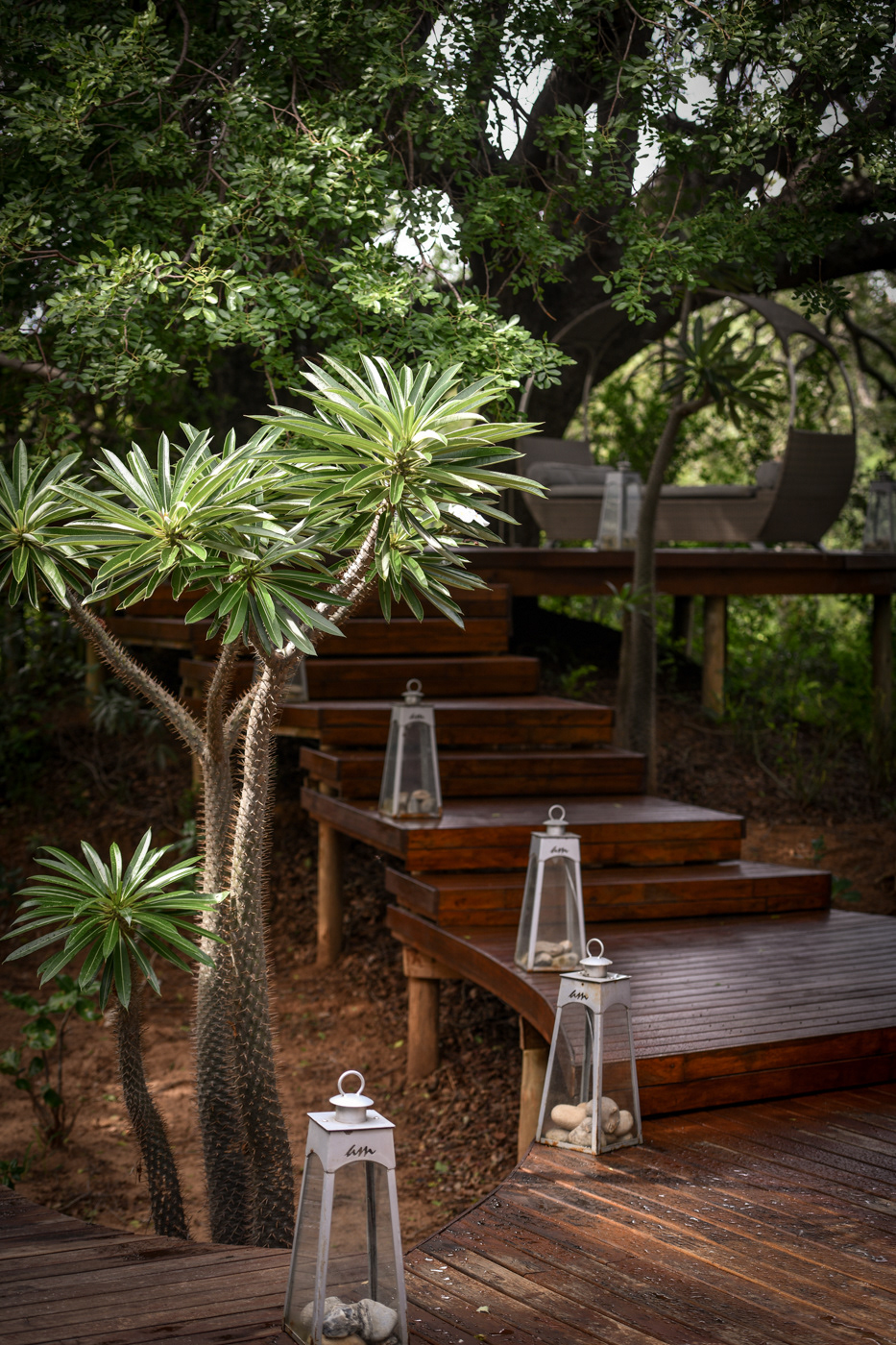 A.M 5 star lodge photos