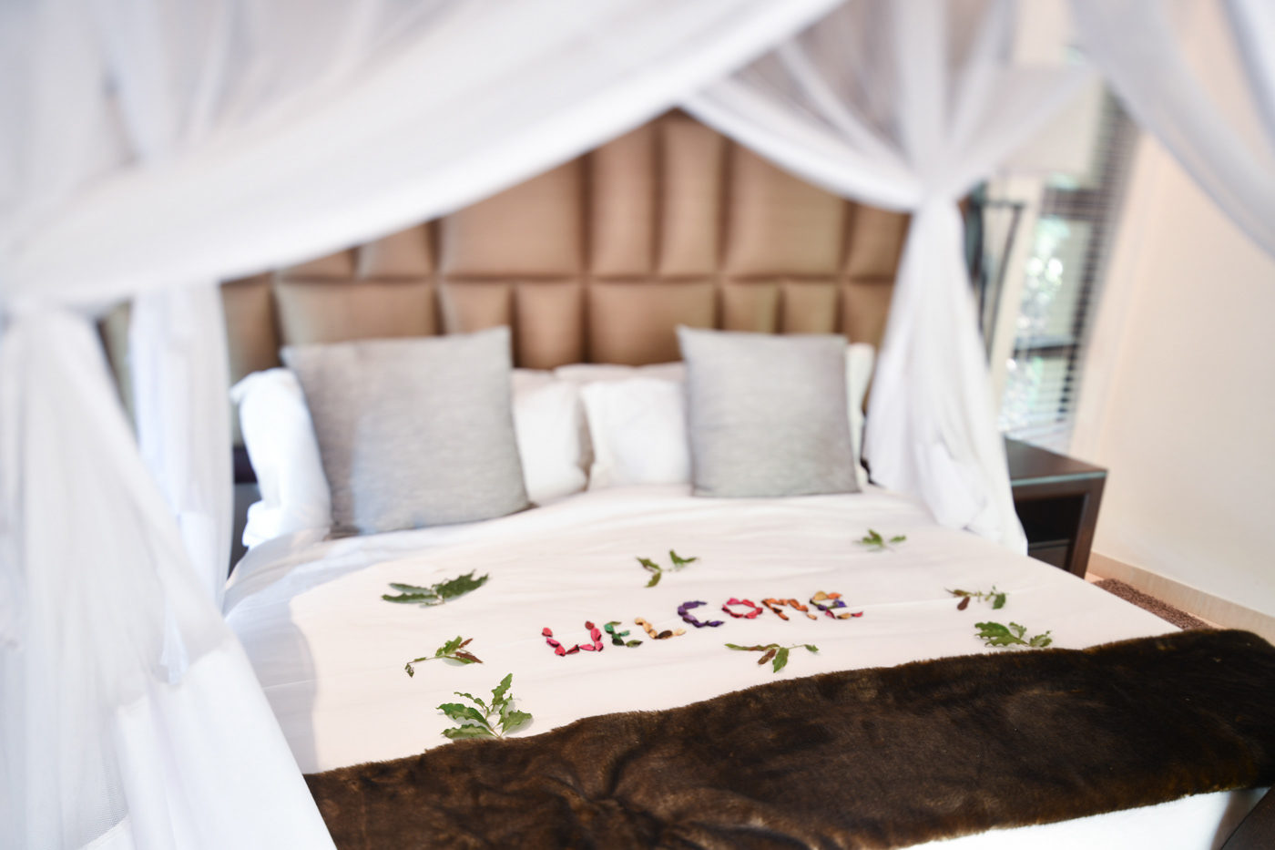 room am lodge images