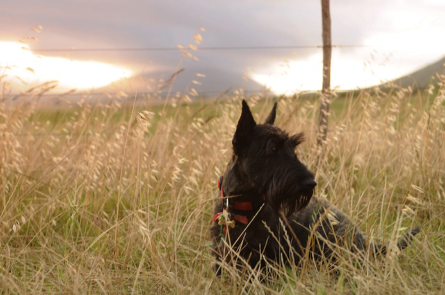 exploring South Africa's Garden Route