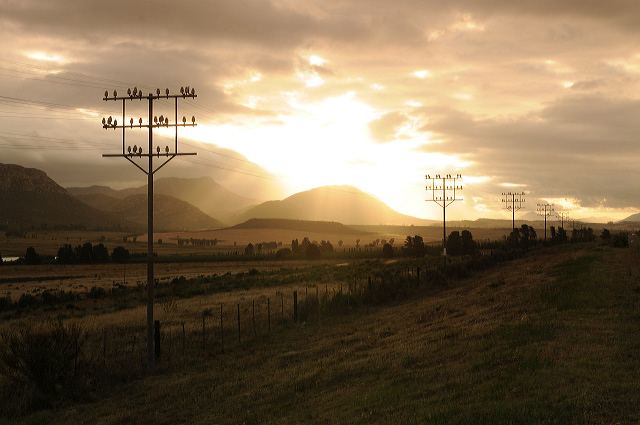 road tripping the Garden Route