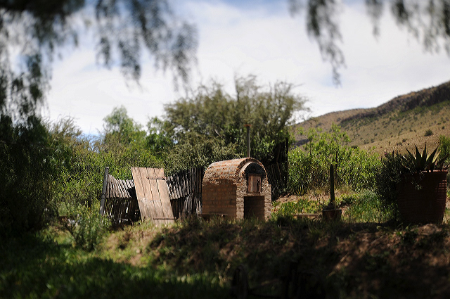 exploring South Africa's Garden Route