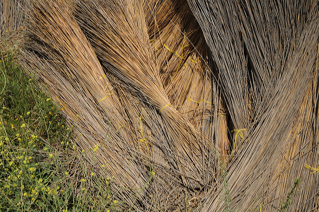 discover the Garden Route