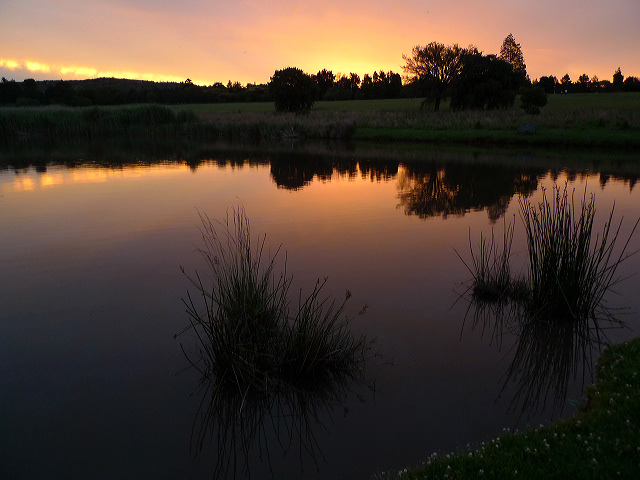 exploring South Africa's Garden Route