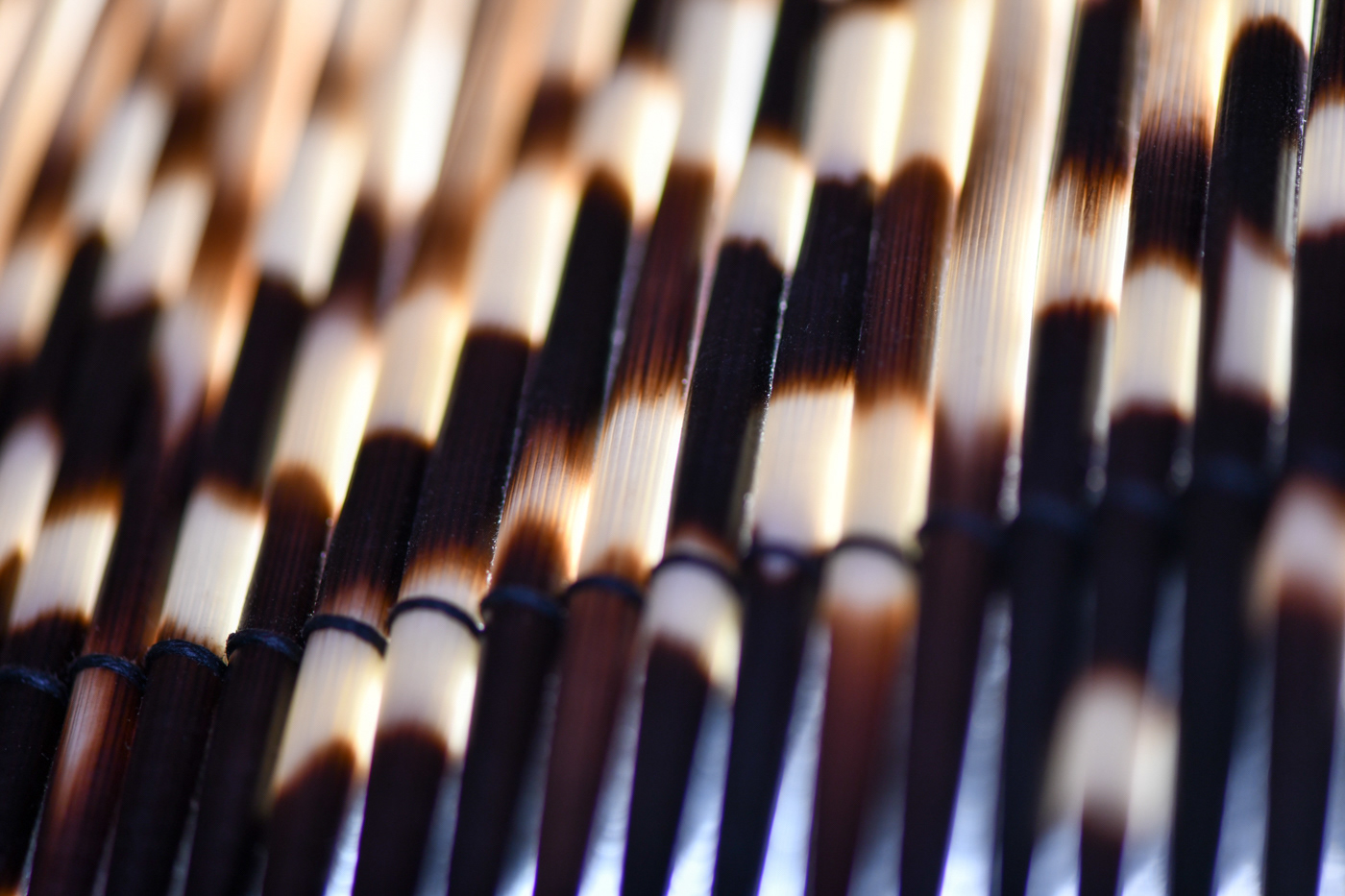 A.M 5 star lodge images