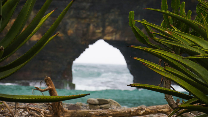 Old Transkei Ocean Photo