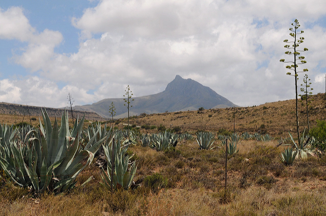 road tripping the Garden Route