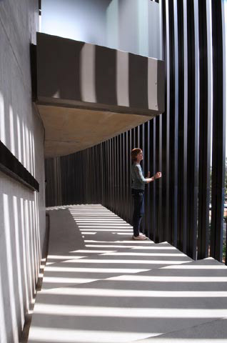 Everard Read Gallery Exhibition Photos