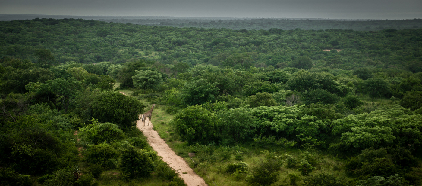 scenic view A.M 5 star lodge