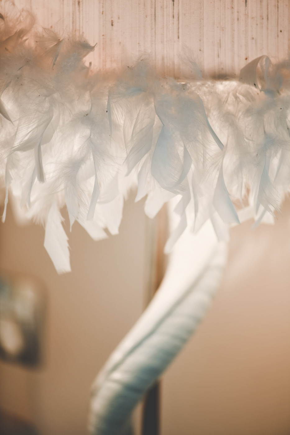 A.M 5 star lodge photo