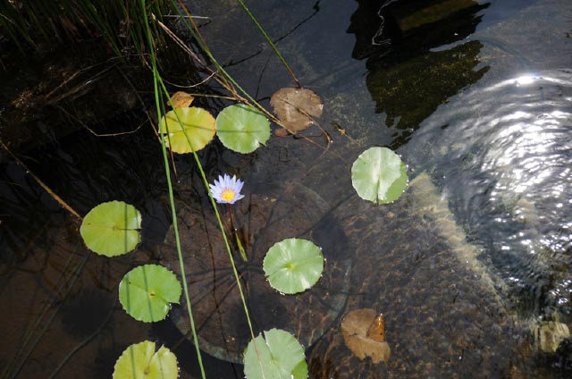 Everard Read Gallery Exhibition Photos