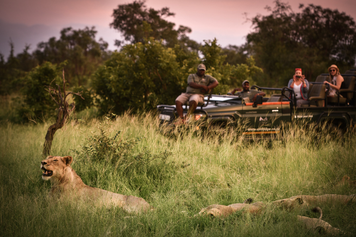 Ignus Gerber - A.M. 5 Star Lodge