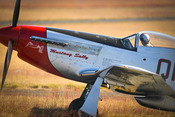Flying Fun at Rand Airshow Cockpit