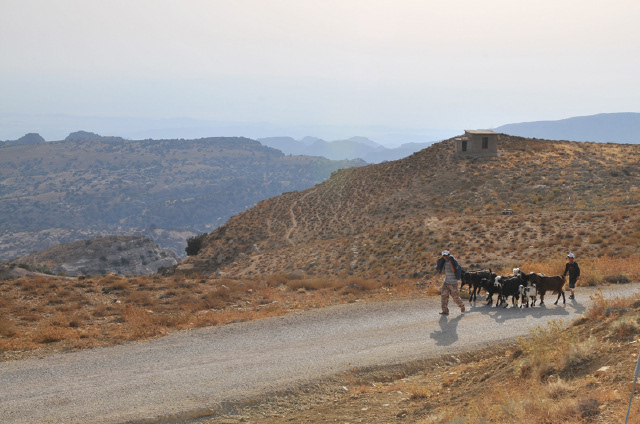 Landscape Photo
