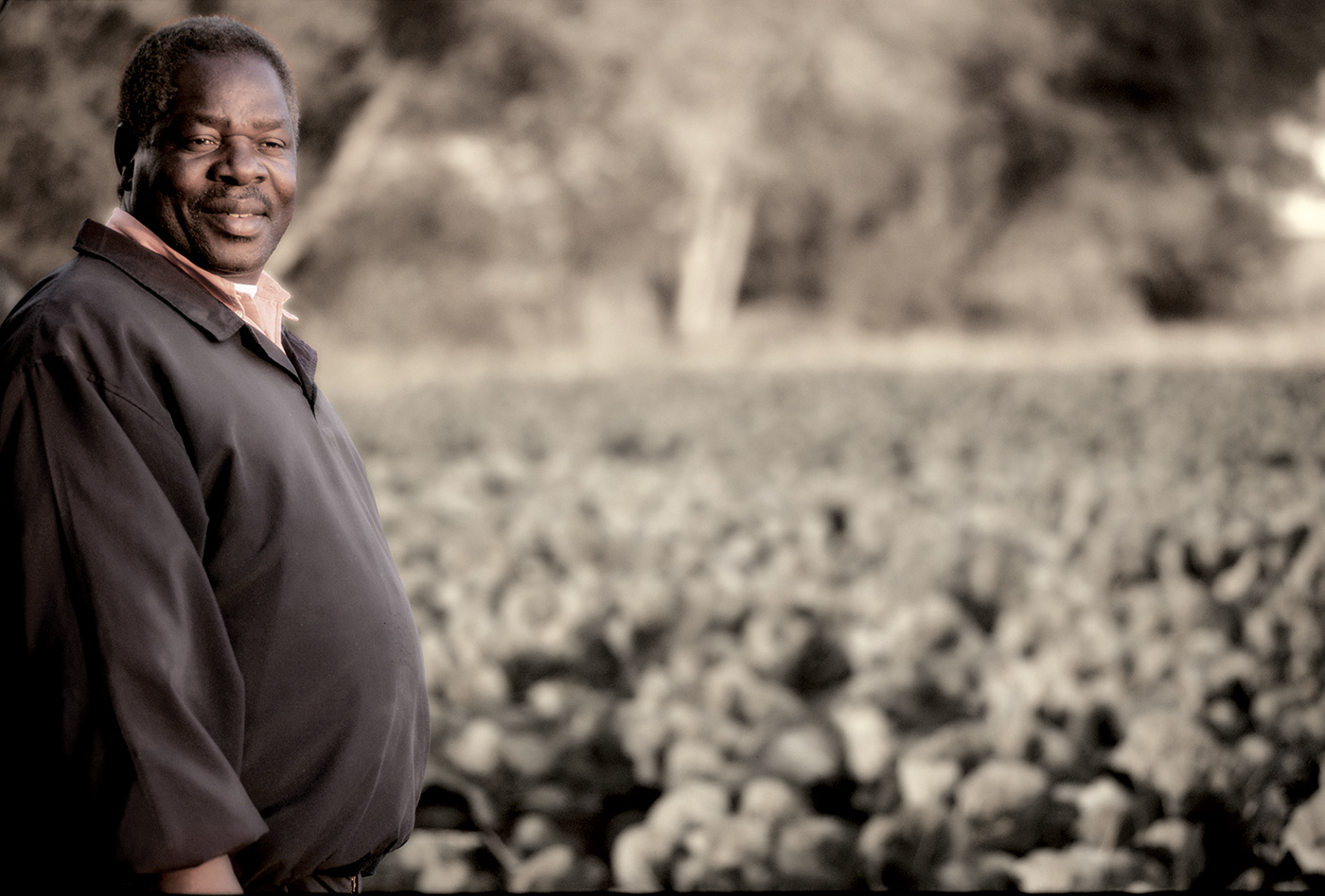 McCann outdoor advertising photography campaign