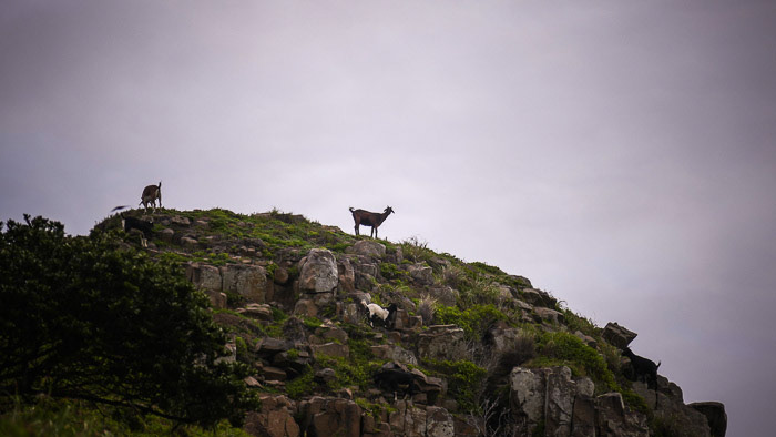 Old Transkei Landscape Photo