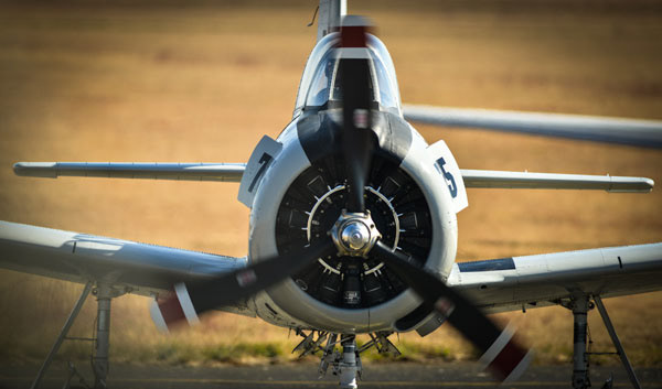 Flying Fun at Rand Airshow 