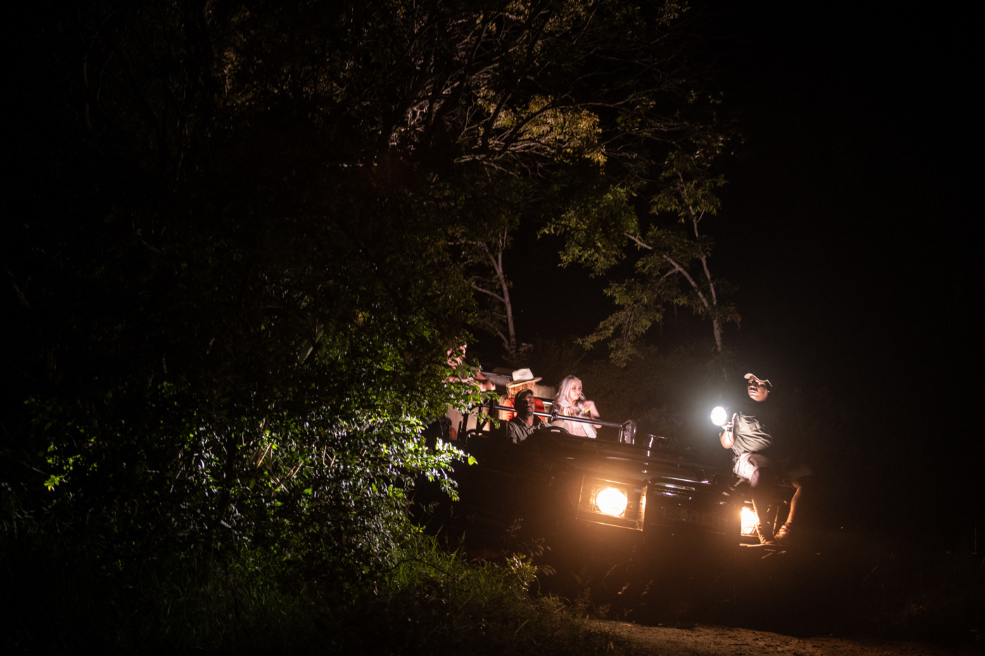 night safari drive at A.M 5 star lodge
