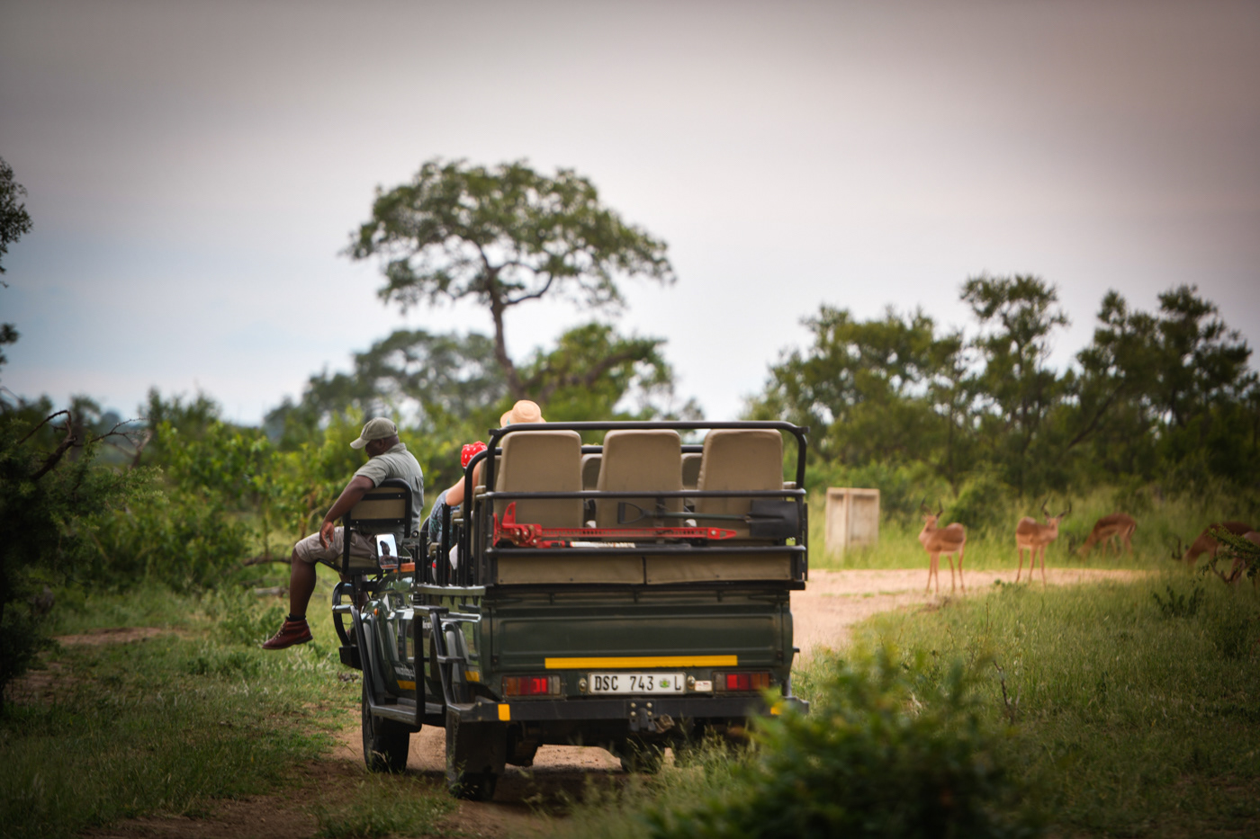 AM Lodge, Hoedspruit, South Africa