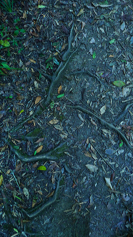 discover the Garden Route