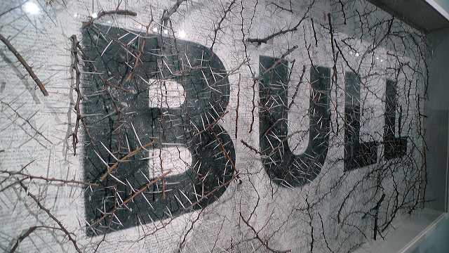 Willem Boshoff Art Exhibition Photo