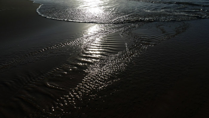 Old Transkei Shore Photo