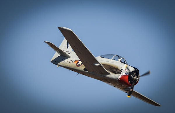 Flying Fun at Rand Airshow