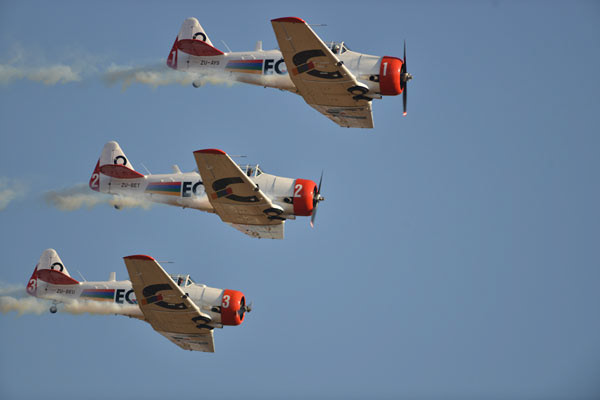 Flying Fun at Rand Airshow