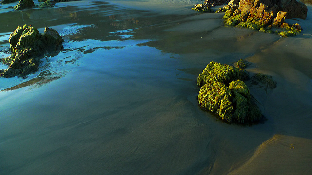 Discover the Garden Route