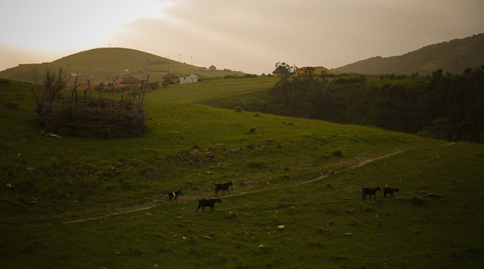 Old Transkei Landscape Photo