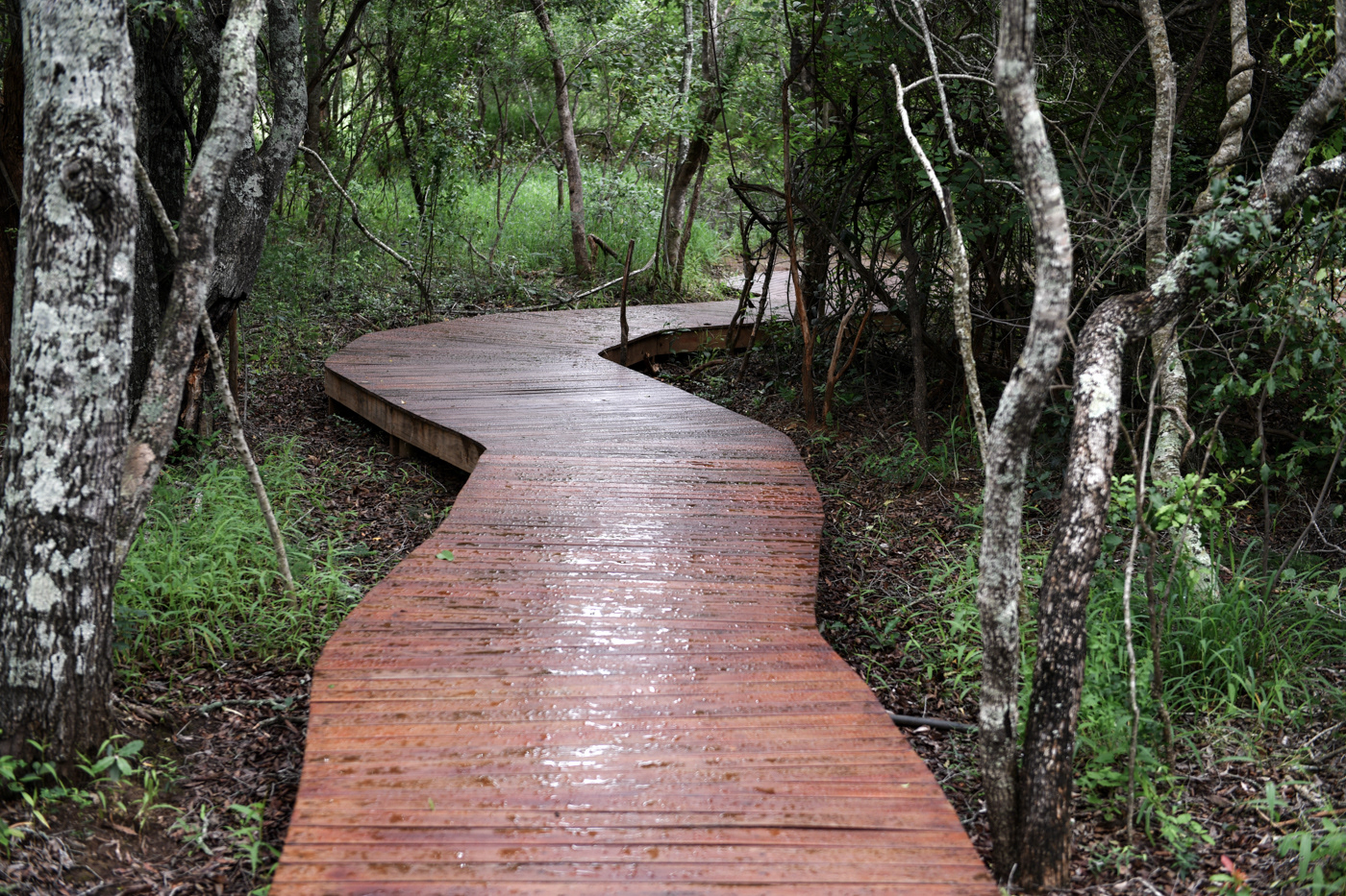 AM Lodge, Hoedspruit, South Africa