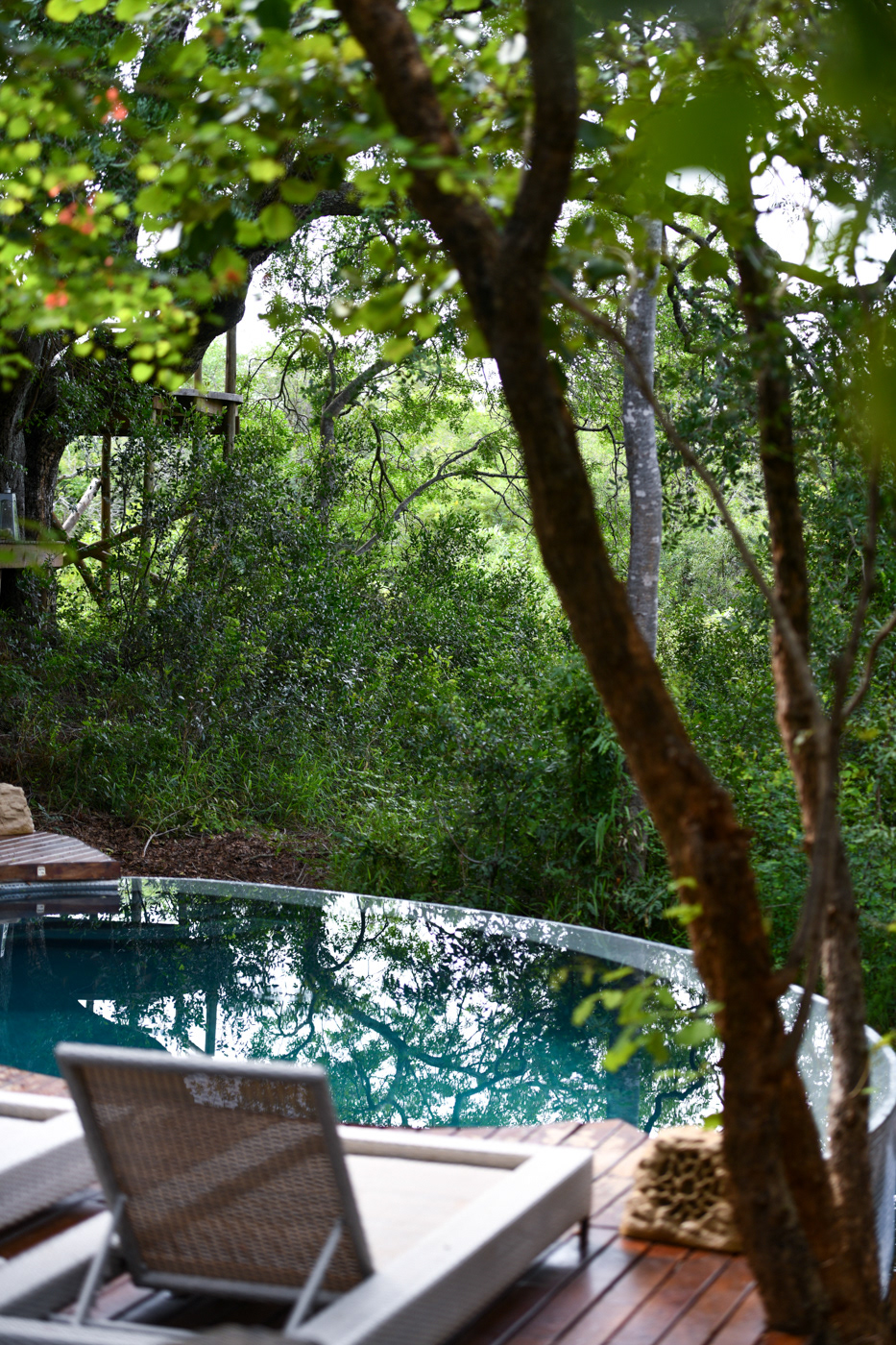 A.M 5 star lodge images