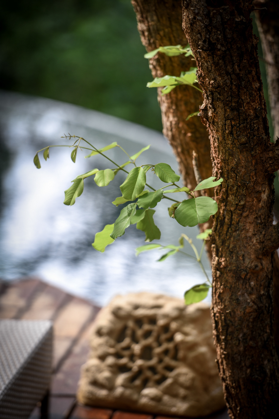 A.M 5 star lodge photo