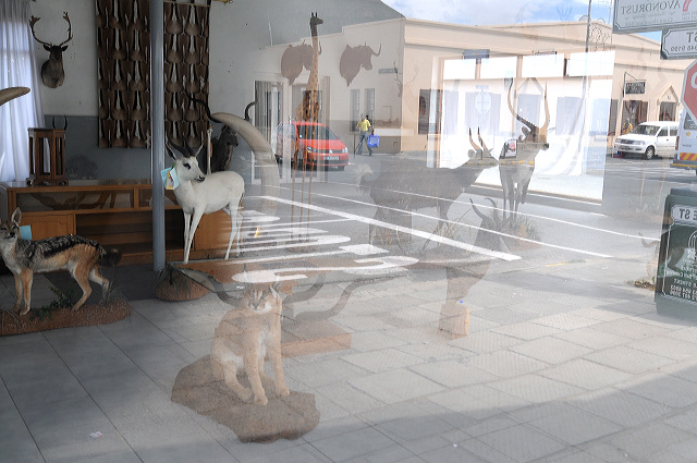 road tripping the Garden Route