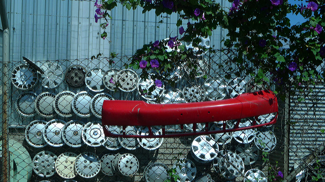 road tripping the Garden Route