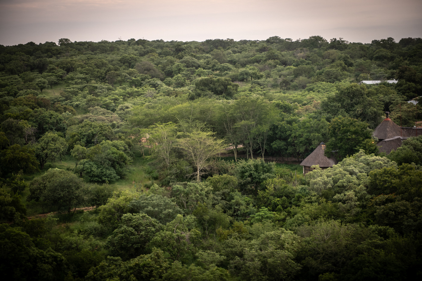 Ignus Gerber - A.M. 5 Star Lodge