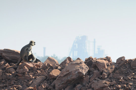 Industrial photography