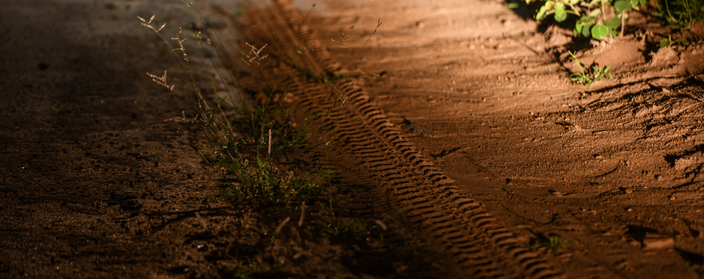 A.M 5 star lodge photos