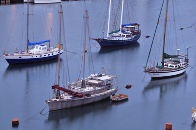 Boats Photo's