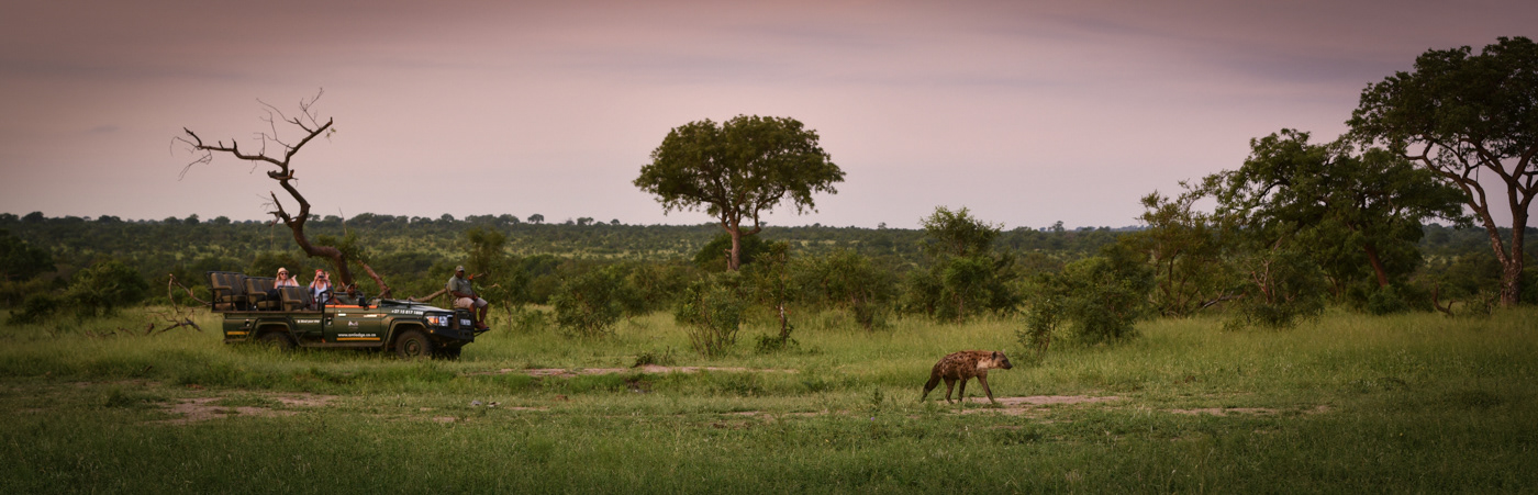 AM Lodge, Hoedspruit, South Africa