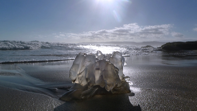 Discover the Garden Route