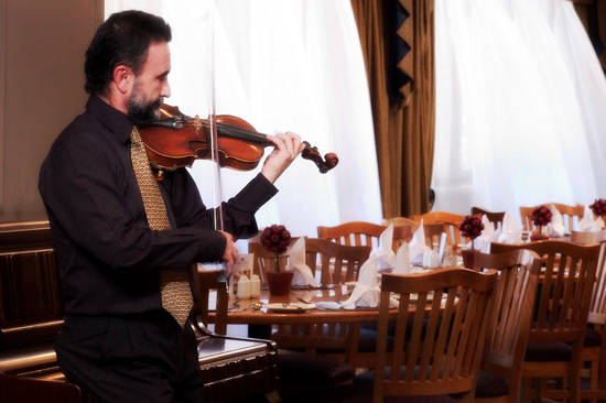 violin music instrument photo