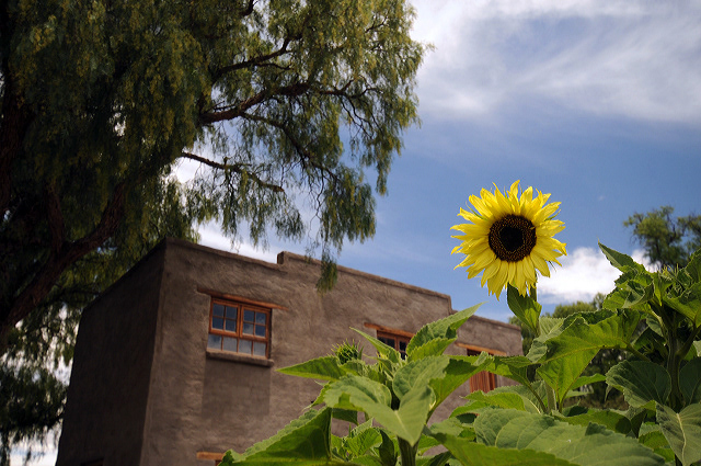 Discover the Garden Route