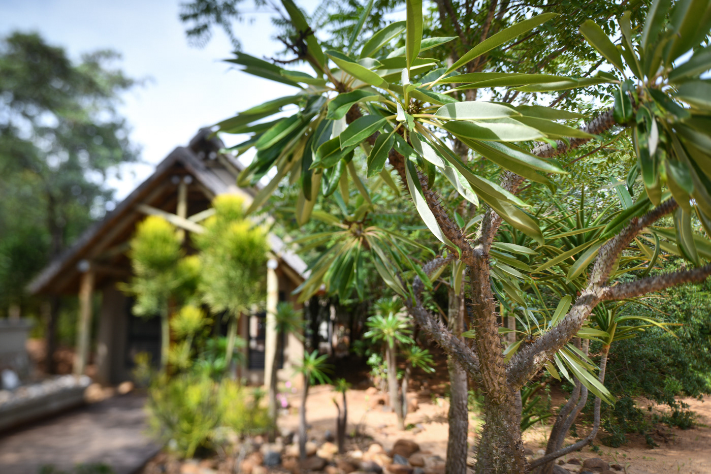 A.M 5 star lodge images