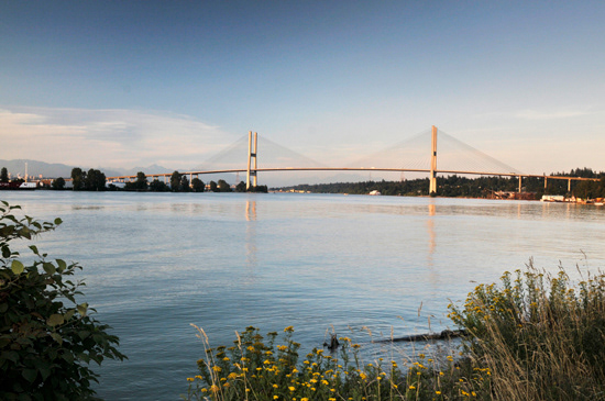 Bridge Photo