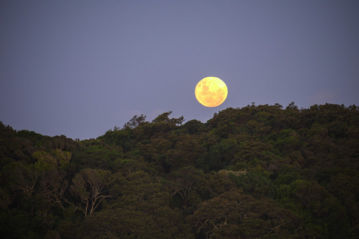 Old Transkei Sunrise Photo