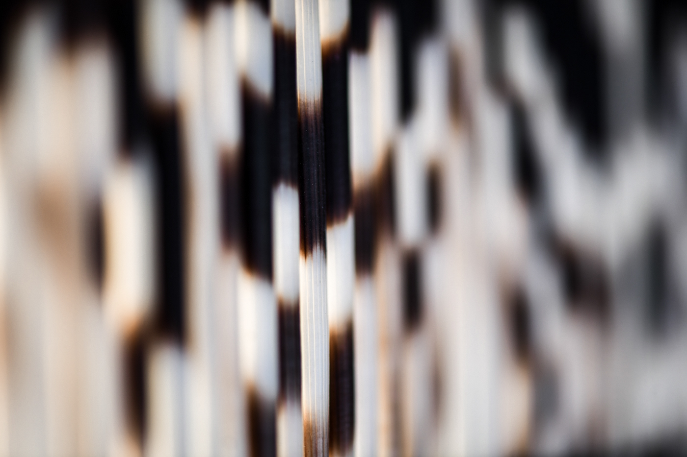 AM Lodge, Hoedspruit, South Africa